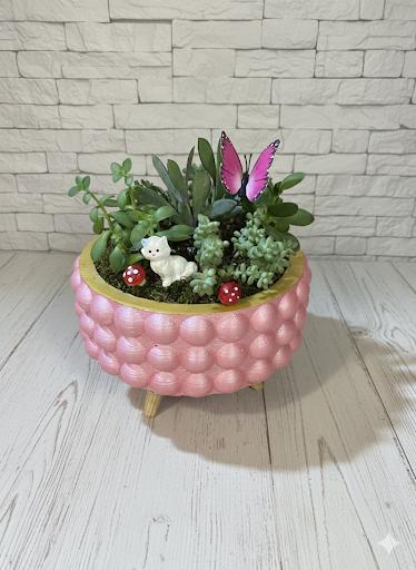 Pembe Saksıda Sukulent Bahçesi